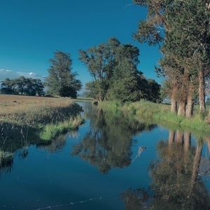 Meet your Posher, Baiya